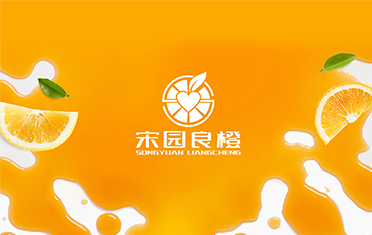 某良橙——郴州LOGO设计
